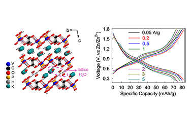 Inorganic-organic Hybrid Cathodes for Fast-charging and Long-cycling Zinc-ion Batteries 2011-3201